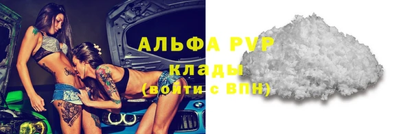 индика Снежногорск
